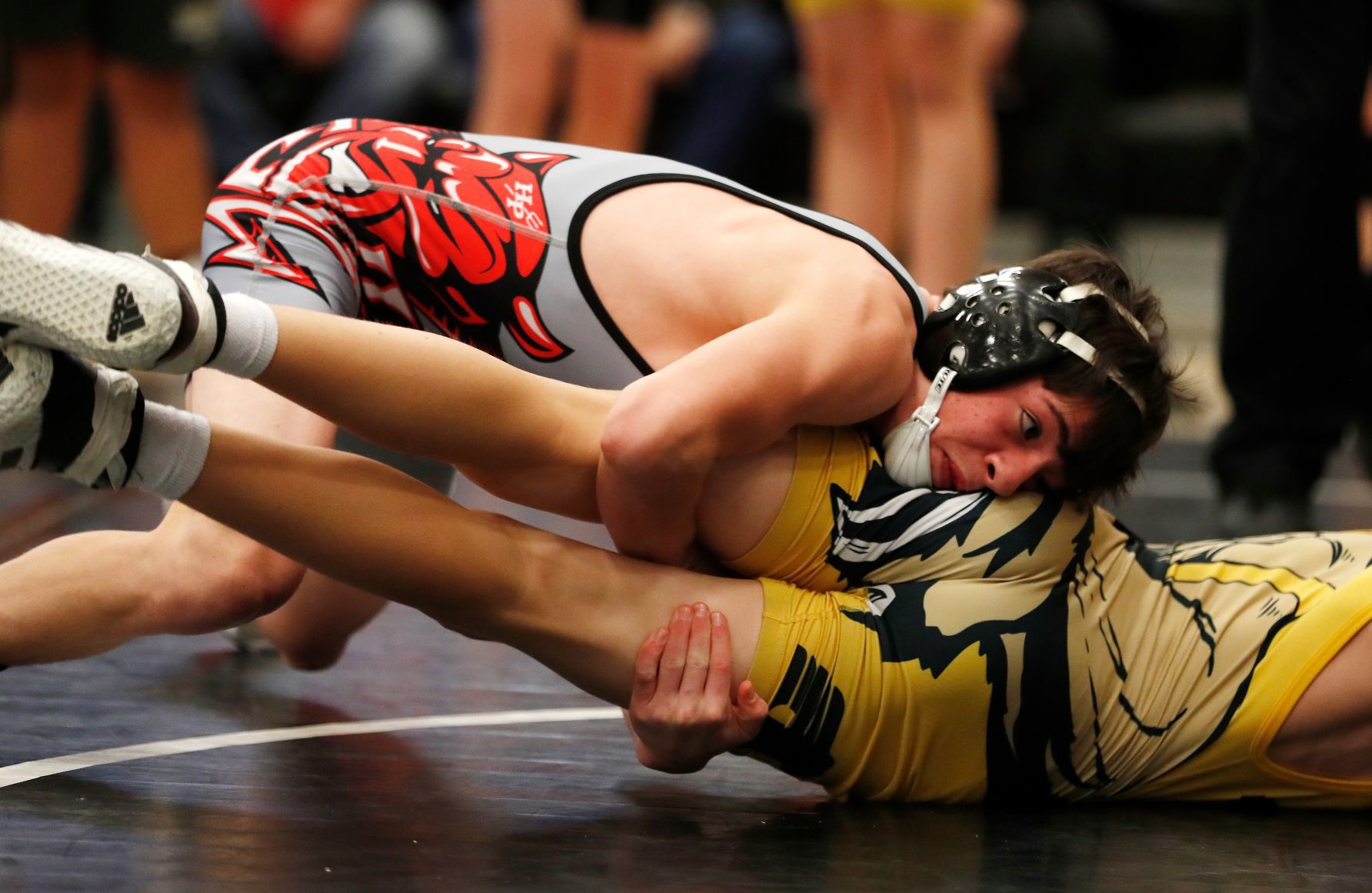 Huntley Project Duals